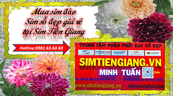 Mua sim đảo sim số đẹp giá rẻ tại Sim Tiền Giang để nhận ưu đãi khủng.